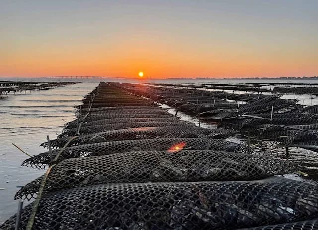 Parques ostrícolas en la Île de Ré al atardecer